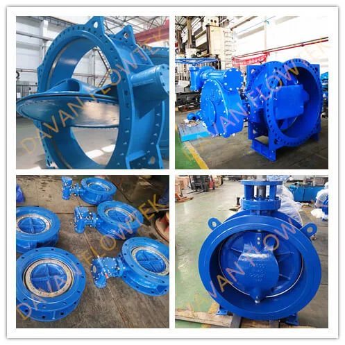 Cast Iron Gate Valve/ Swing Check Valve/ Air Valve/Double Eccentric Manual Industry Flanged Butterfly Valve
